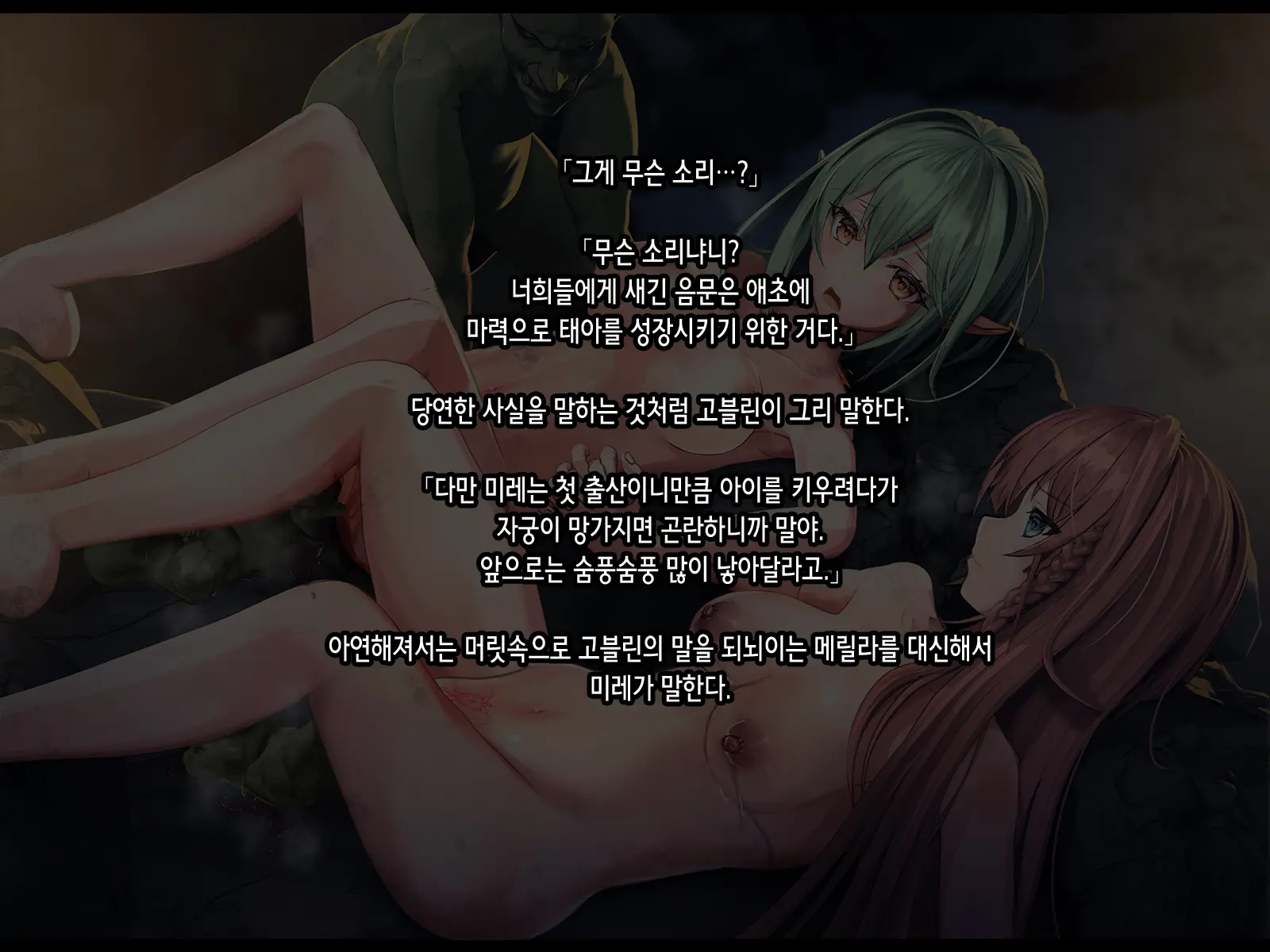 Half Elf Wa Goblin Snyou No Harami Bukuro To Shite